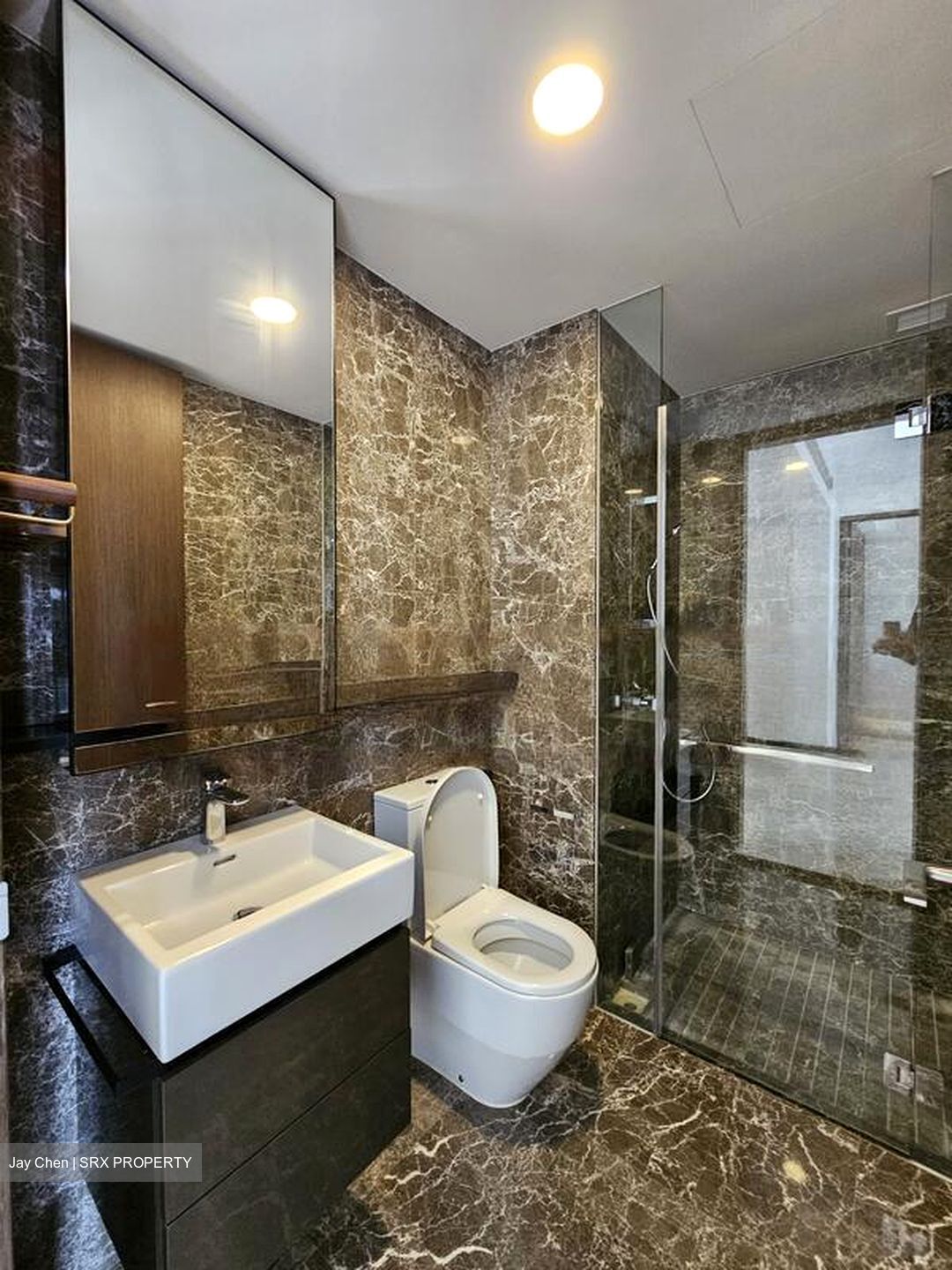 Amber 45 (D15), Apartment #460683541